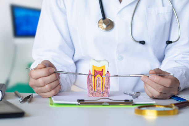 Best Walk-In Emergency Dentist in Gerber, CA